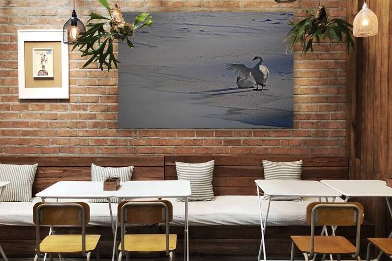 DSC 5806 by James Shedden Photography