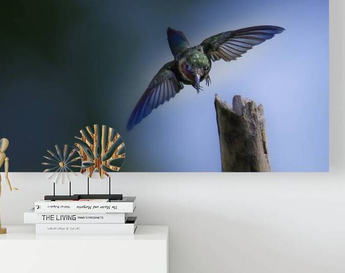 JBS 2832 by James Shedden Photography