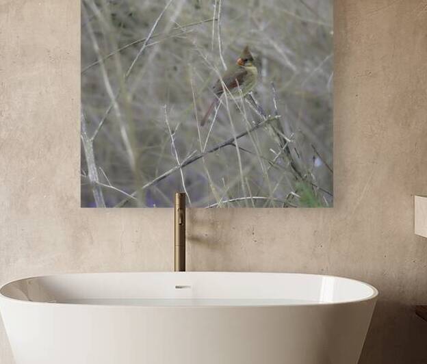 JBS 0660 by James Shedden Photography