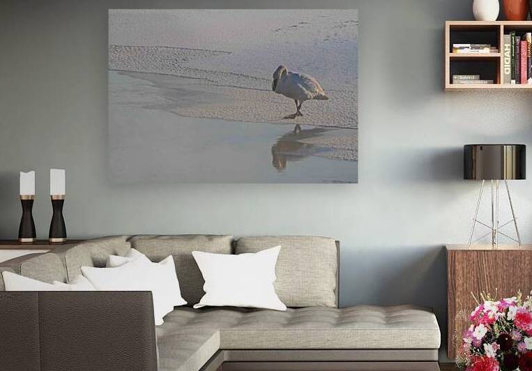 DSC 5823 by James Shedden Photography