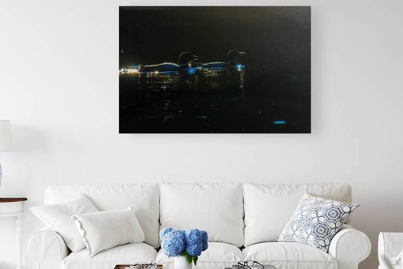 JBS 3176 by James Shedden Photography