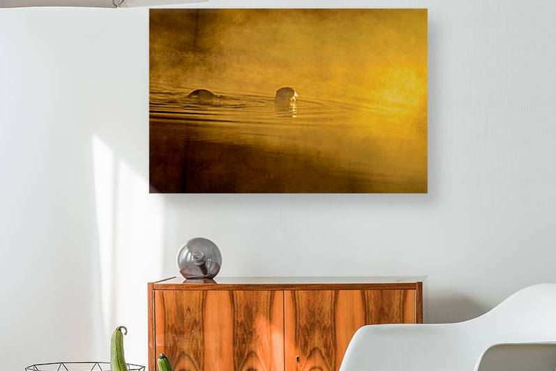 DSC 1717 by James Shedden Photography