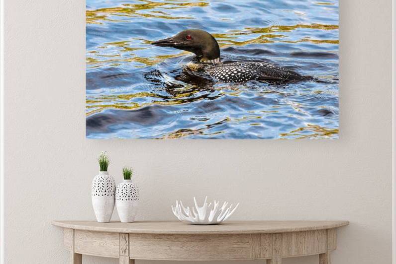 JBS 2192 by James Shedden Photography