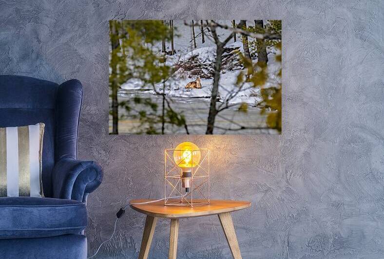  JBS5840 1 by James Shedden Photography