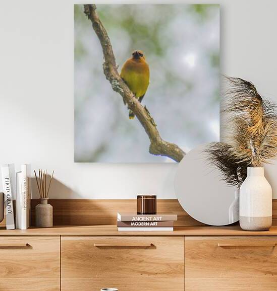 JBS 2137 by James Shedden Photography