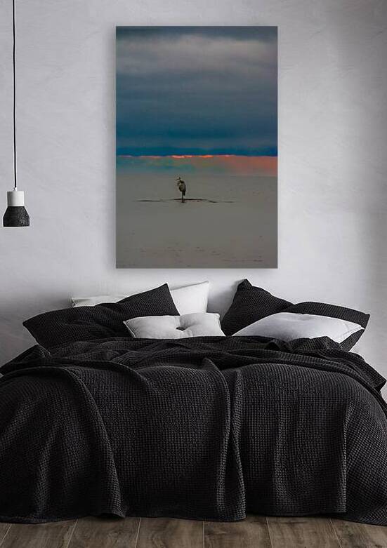 JBS 4325 by James Shedden Photography