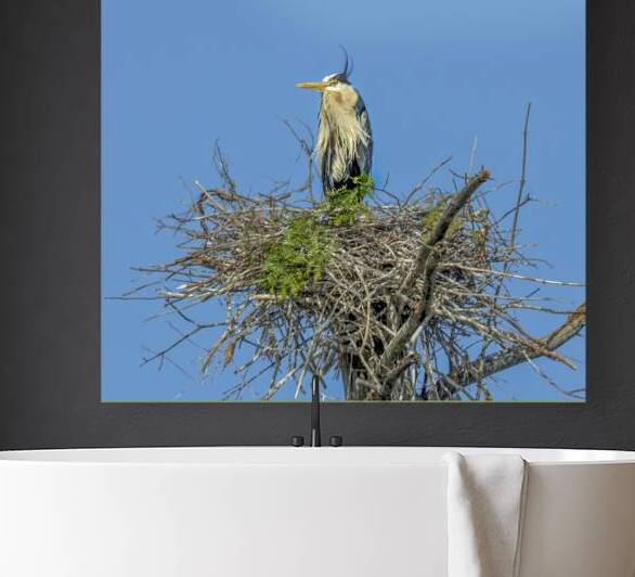 JBS 0860ED by James Shedden Photography