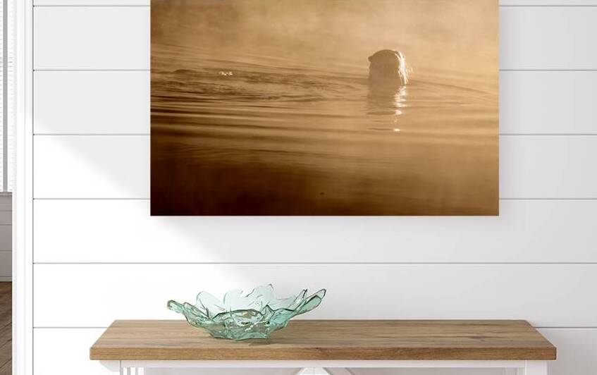 DSC 1719 by James Shedden Photography