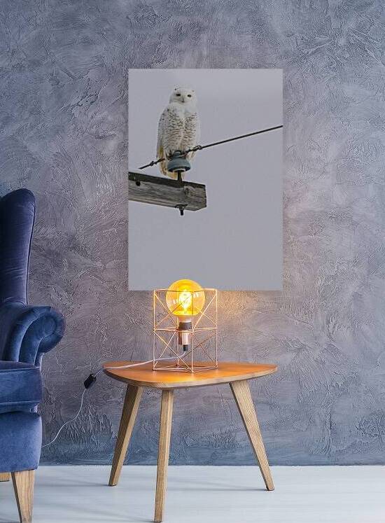 DSC 1897 by James Shedden Photography