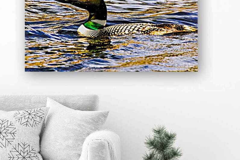 JBS 2215 by James Shedden Photography