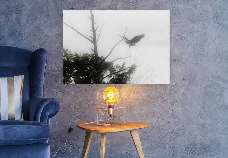 JBS 1831 by James Shedden Photography