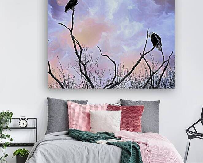 DSC 0357 by James Shedden Photography