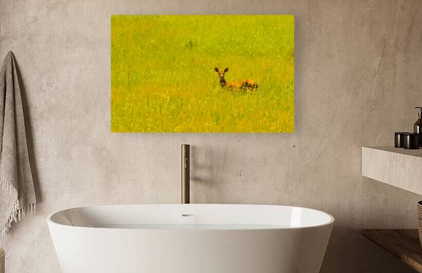 JBS 3007 by James Shedden Photography