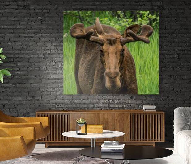 JBS 2500 by James Shedden Photography