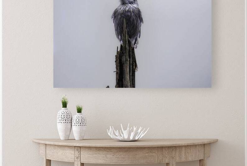 JBS 3105 by James Shedden Photography