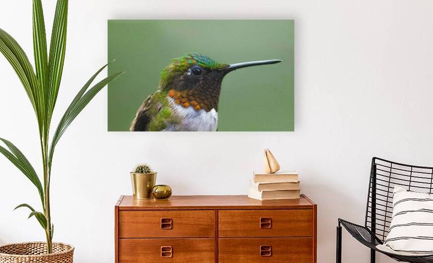 JBS 4152 by James Shedden Photography