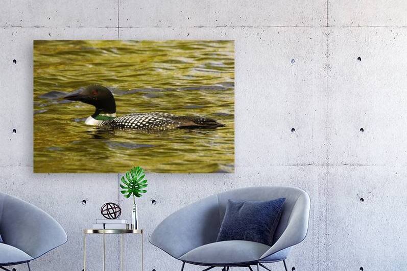 JBS 2224 by James Shedden Photography