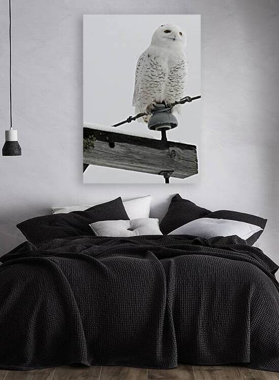 DSC 1902 by James Shedden Photography