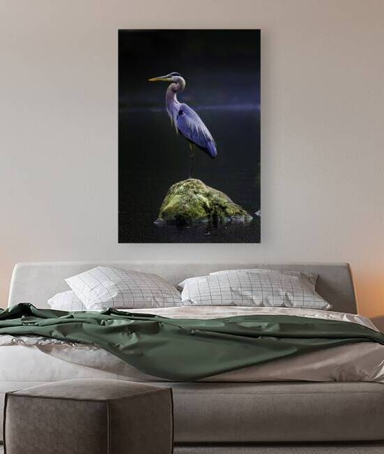 JBS 1706 2 by James Shedden Photography