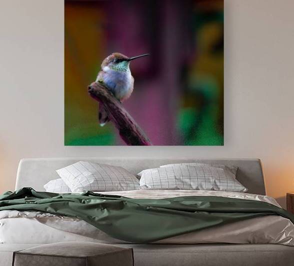 JBS 4382 2 by James Shedden Photography