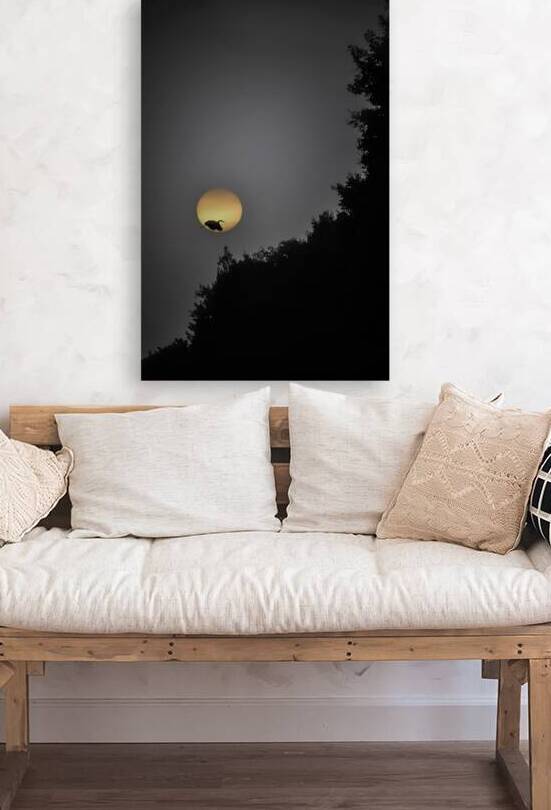 HERON SUNRISE by James Shedden Photography