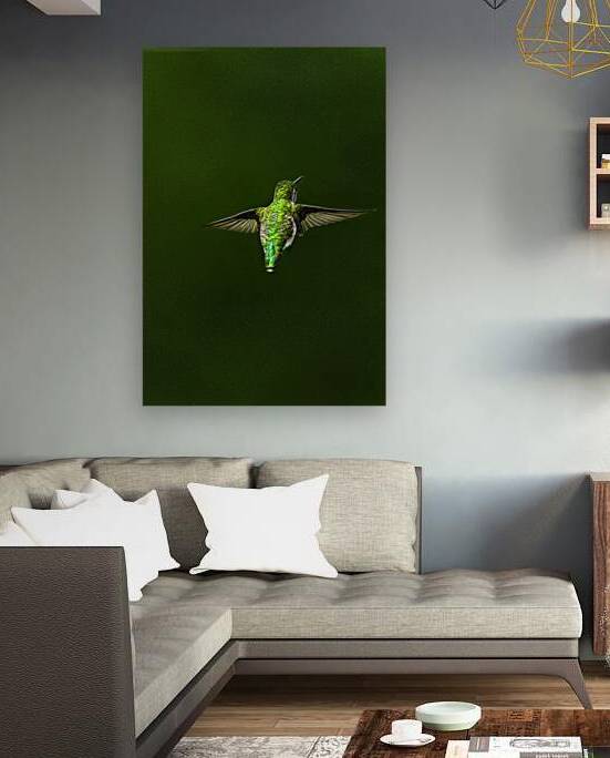 JBS 1467 by James Shedden Photography