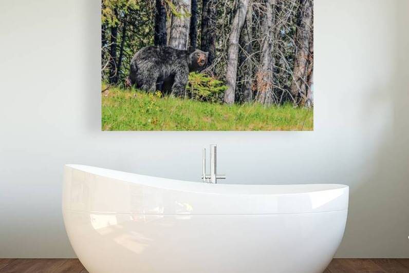 JBS 2617-1 by James Shedden Photography