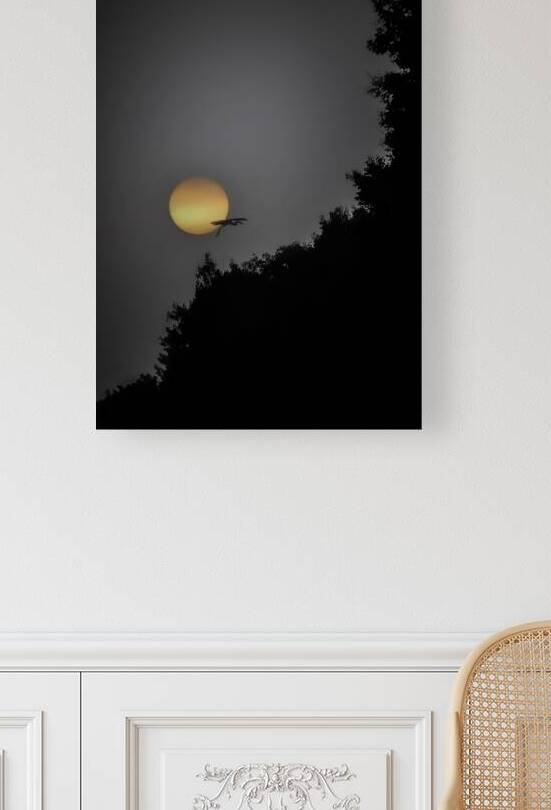 HERON SUNRISE2 by James Shedden Photography