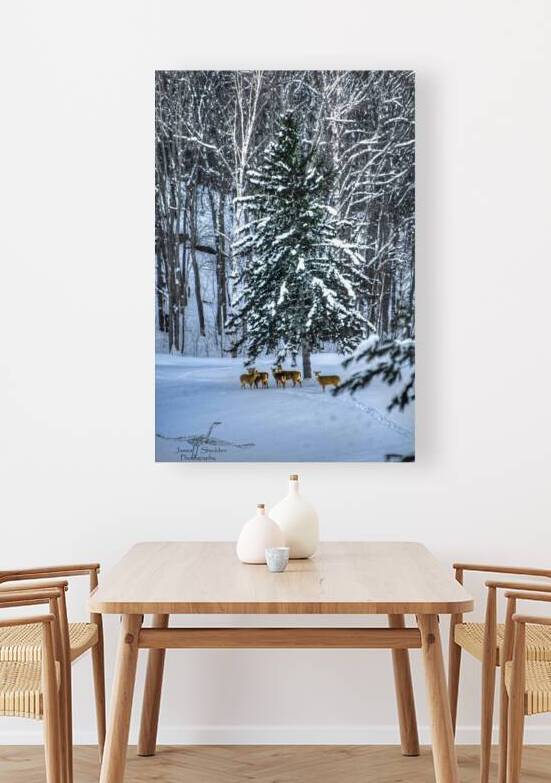 DSC 5638 by James Shedden Photography