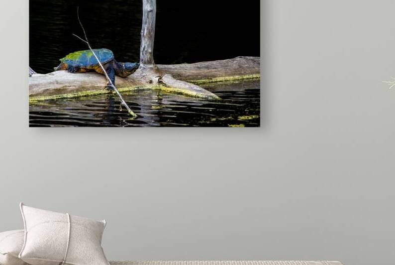 JBS 1007 by James Shedden Photography