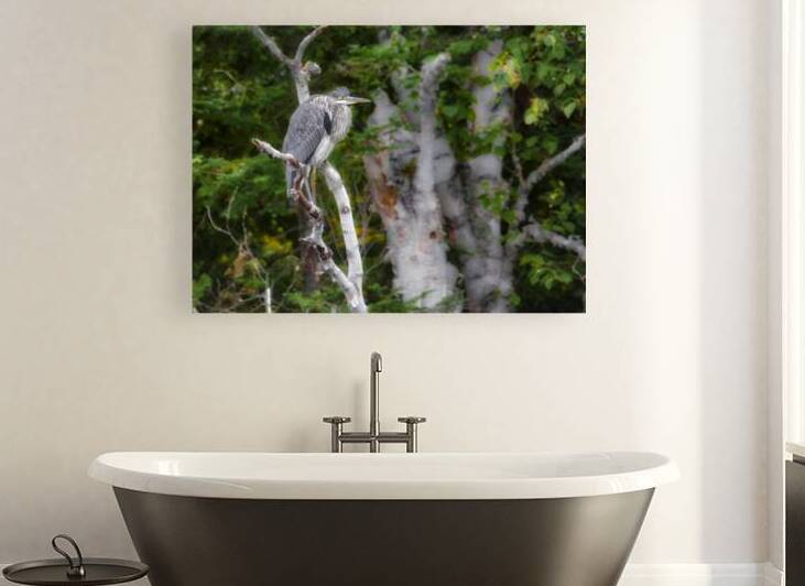 JBS 3060 by James Shedden Photography