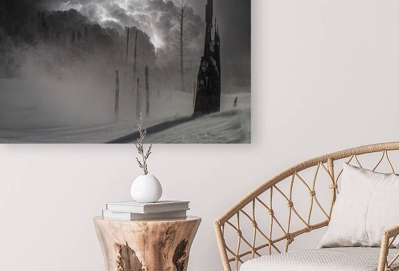 01300036  by James Shedden Photography