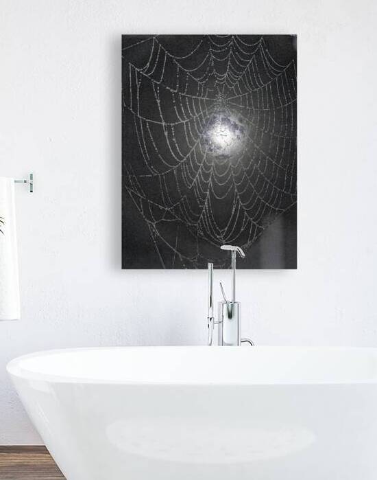 ZJS 8300  by James Shedden Photography