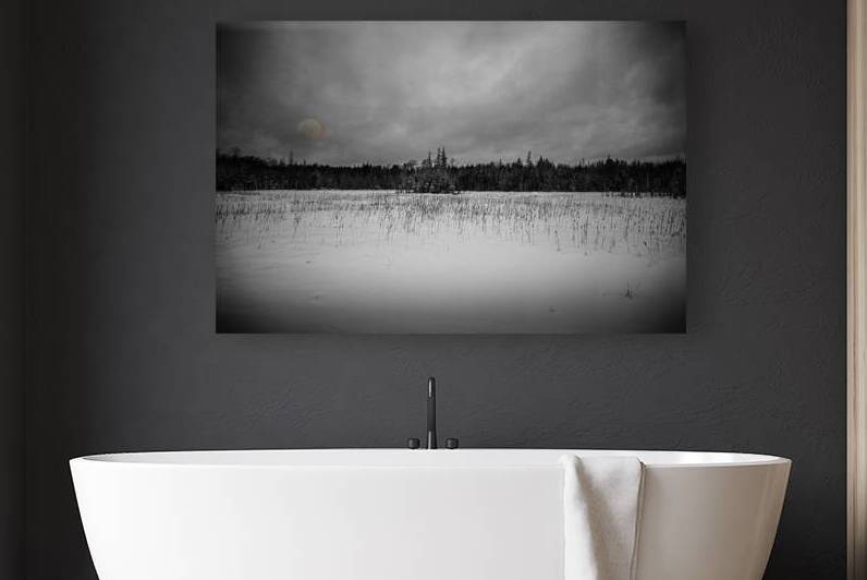 ZJS 9284 2  by James Shedden Photography