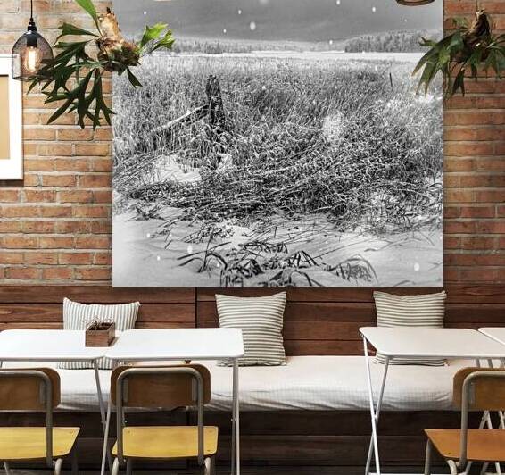 JBS 4080 by James Shedden Photography