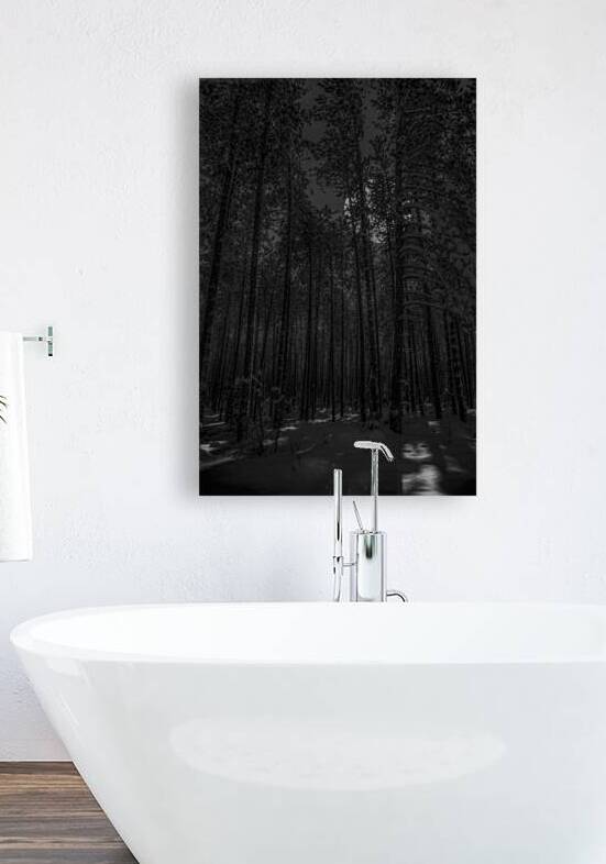 NIGHTWOODS by James Shedden Photography