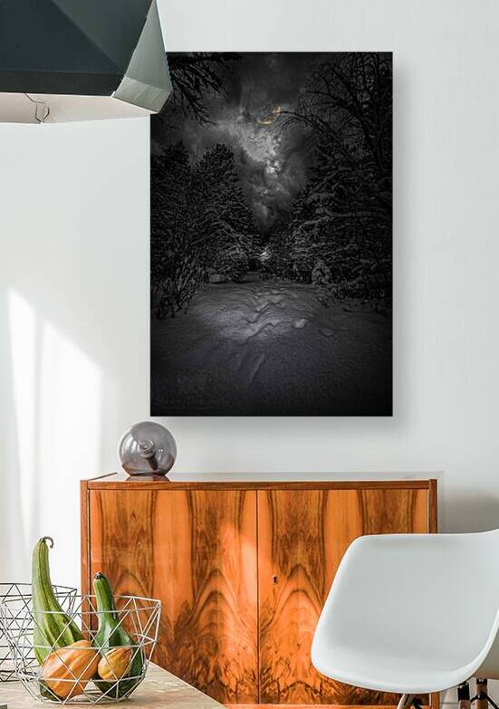 Z62 0237  by James Shedden Photography