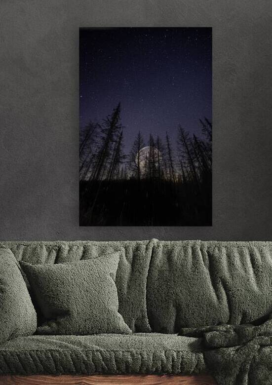 JBS 0765 by James Shedden Photography