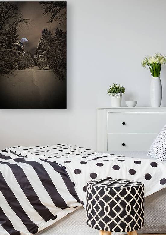 Z62 0235 2  by James Shedden Photography