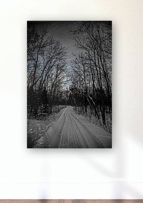 JBS 0236  by James Shedden Photography