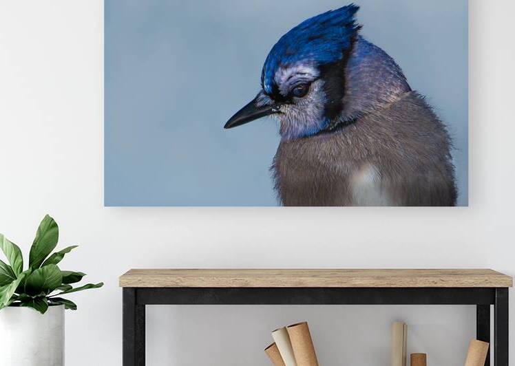 JBS 9514 by James Shedden Photography