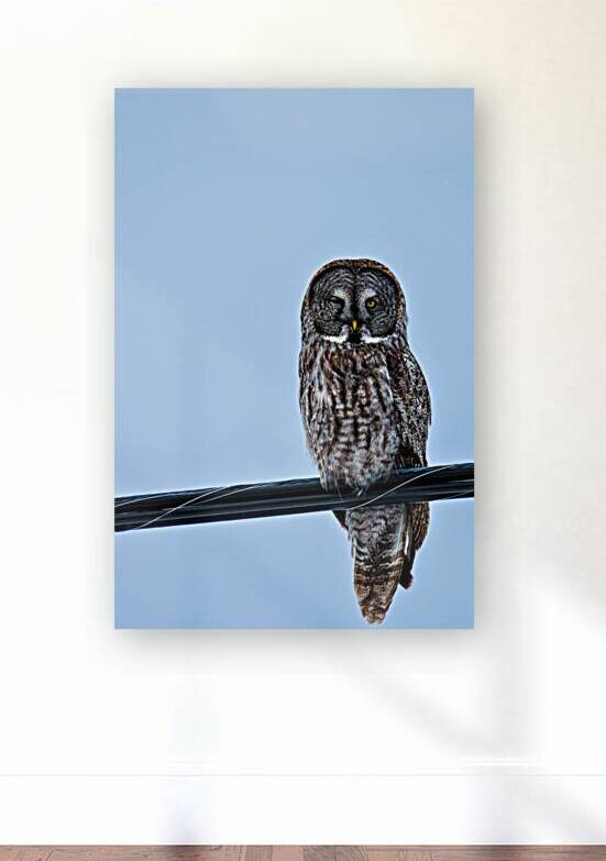 JBS 7303 by James Shedden Photography