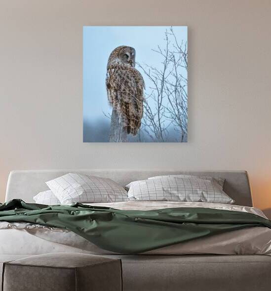 JBS 5394 by James Shedden Photography