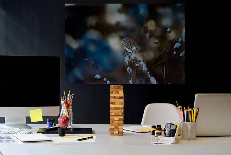 JBS 8295 by James Shedden Photography