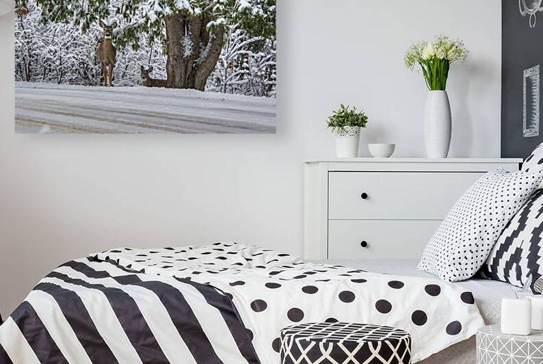 JBS 7888  by James Shedden Photography