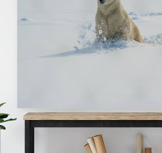 JBS 9346 2 by James Shedden Photography