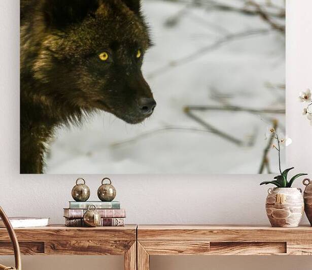 JBS 9070 by James Shedden Photography