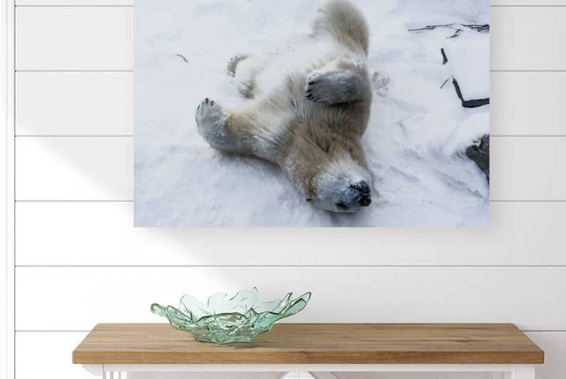 JBS 8390 by James Shedden Photography