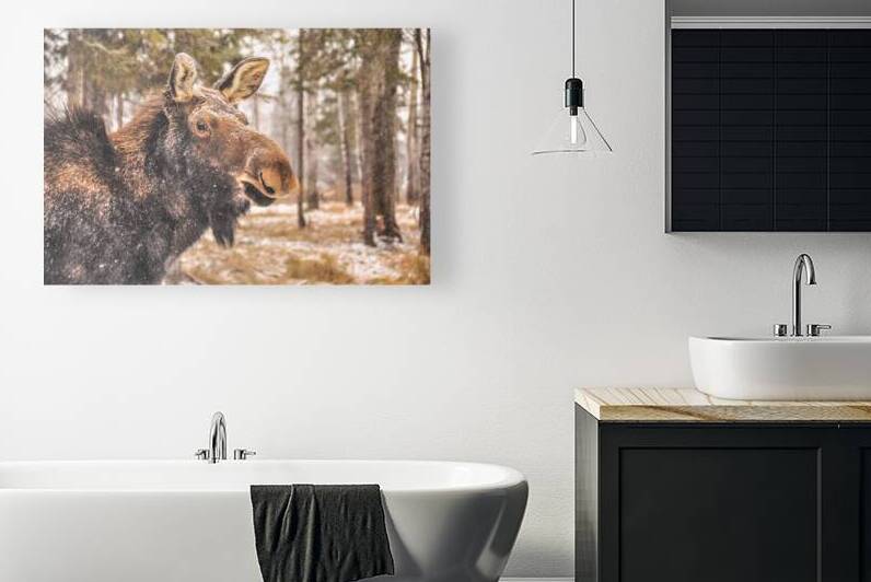 JBS 4902  by James Shedden Photography