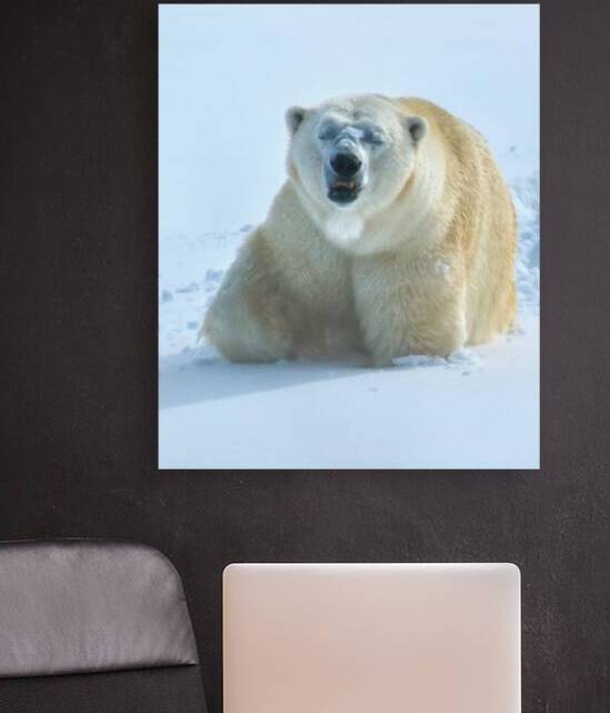 JBS 9357 by James Shedden Photography